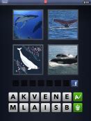4 images 1 mot niveau 272|4 Images 1 Mot 272 (Poisson + Baleine + Mer + Orques).